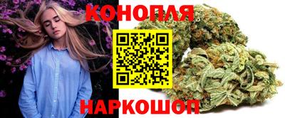 PSILOCYBIN Моздок