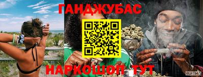PSILOCYBIN Моздок