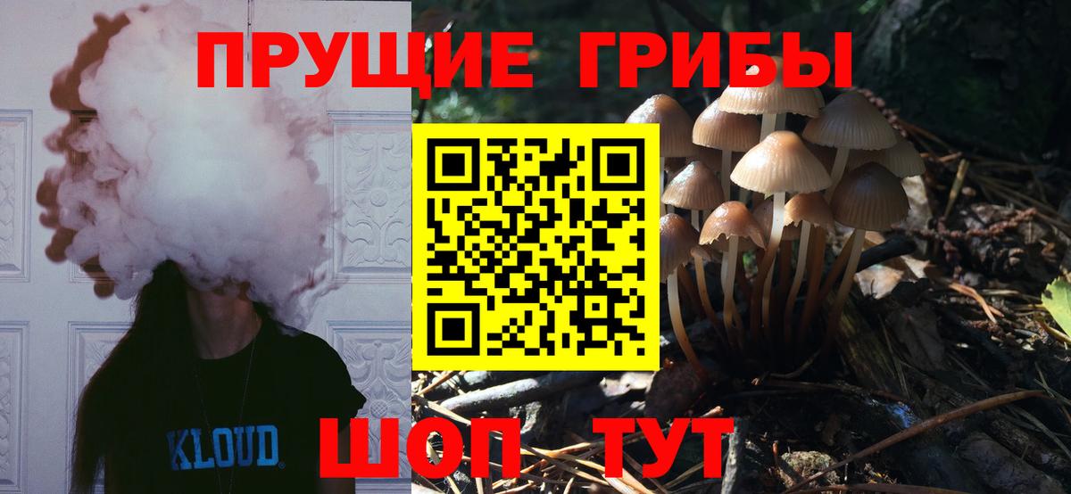 Псилоцибиновые грибы прущие грибы Жуковский